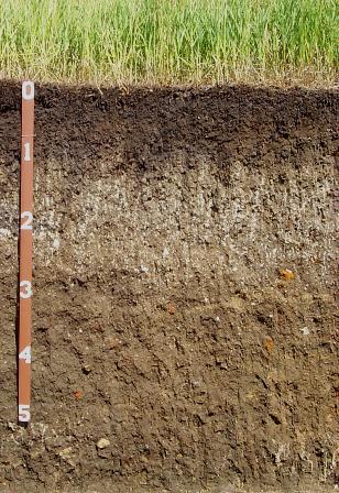 South Dakota State Soil: Houdek Soil